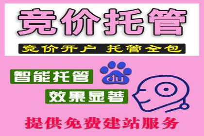某行业巨头背后的SEM代运营托管公司