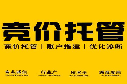 百度竞价广告投放的ROI优化：经典案例分享